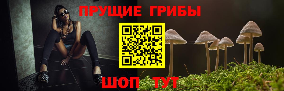 Галлюциногенные грибы Cubensis Белебей